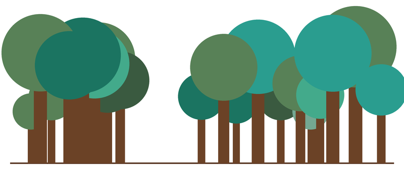 Ein Wald aus Bäumen unterschiedlicher Höhe und Farbe auf einer Bodenlinie