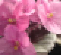 Bild mit niedrriger Auflösung